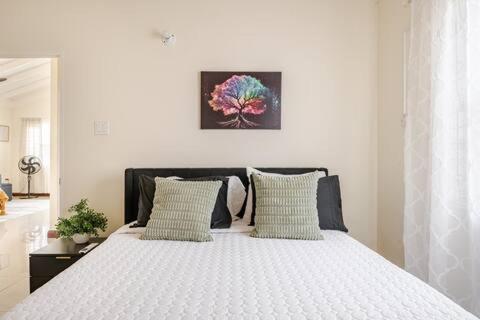 Bellarose At Colbeck ,Gated With Pool, Stylishly Modern Villa Old Harbour Екстериор снимка